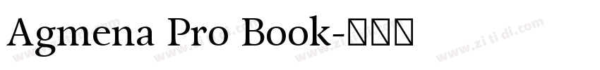 Agmena Pro Book字体转换